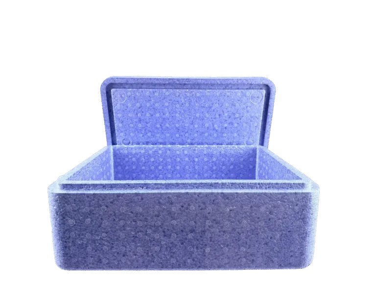 Como especificar uma caixa térmica EPP com alçasndles Customizable Lightweight EPP Foam Box