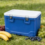 Best Temperature-Controlled Plastic Container For Logistics Design Strategy for 2026