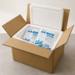 EPS insulated shipping box with gel ice packs for chilled food delivery